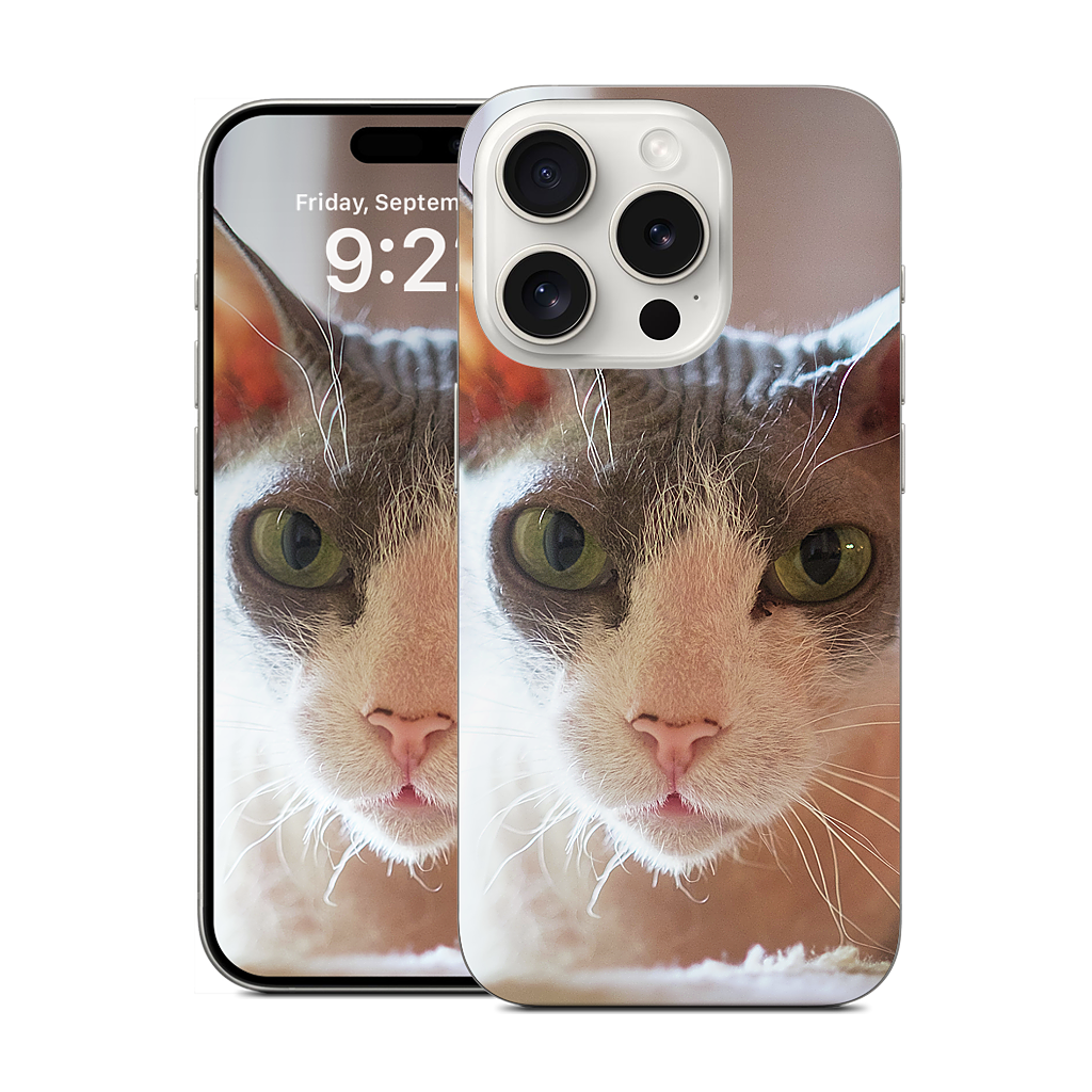 Custom iPhone Skin - ac41d886