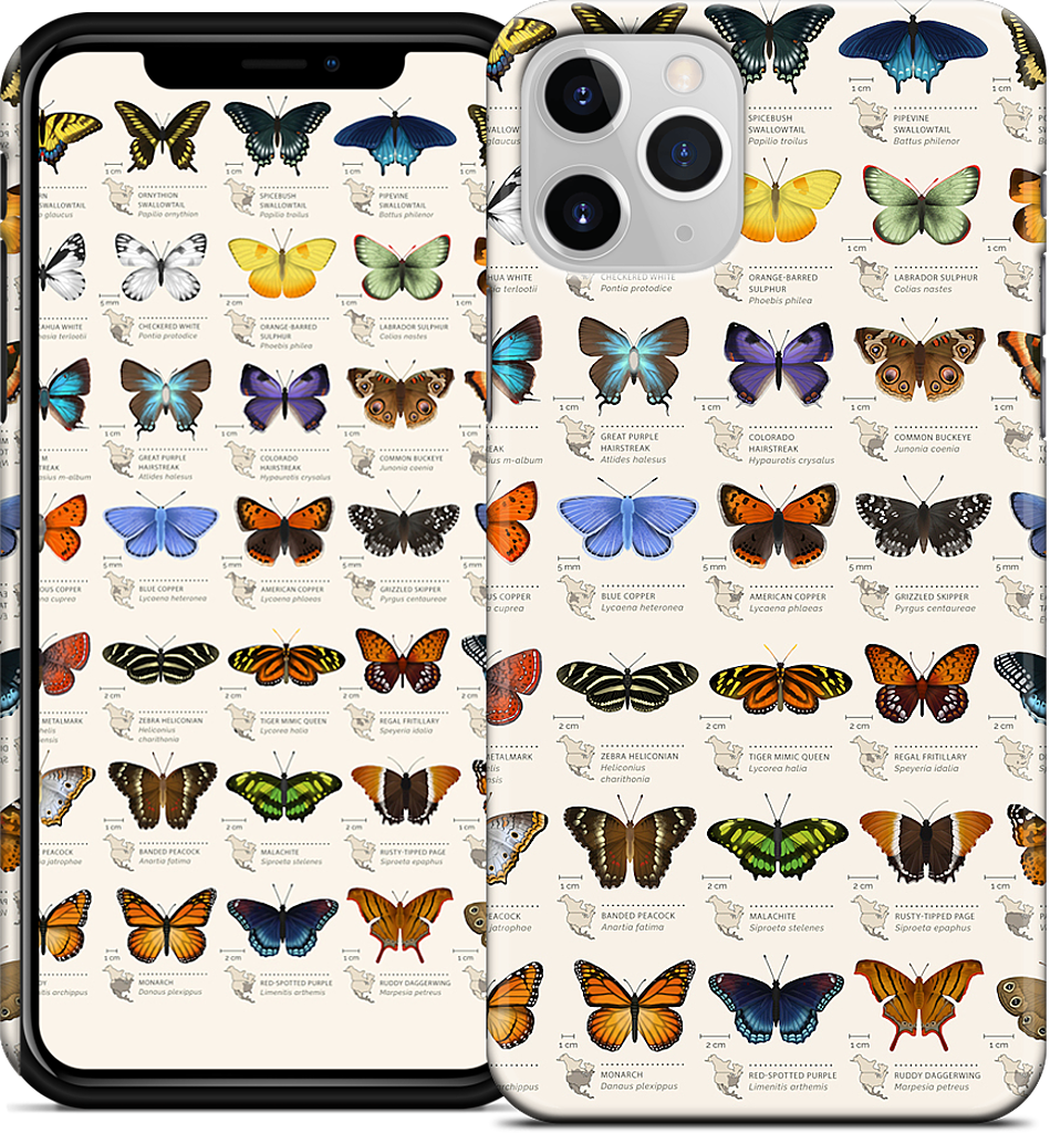 42 North American butterflies iPhone Case