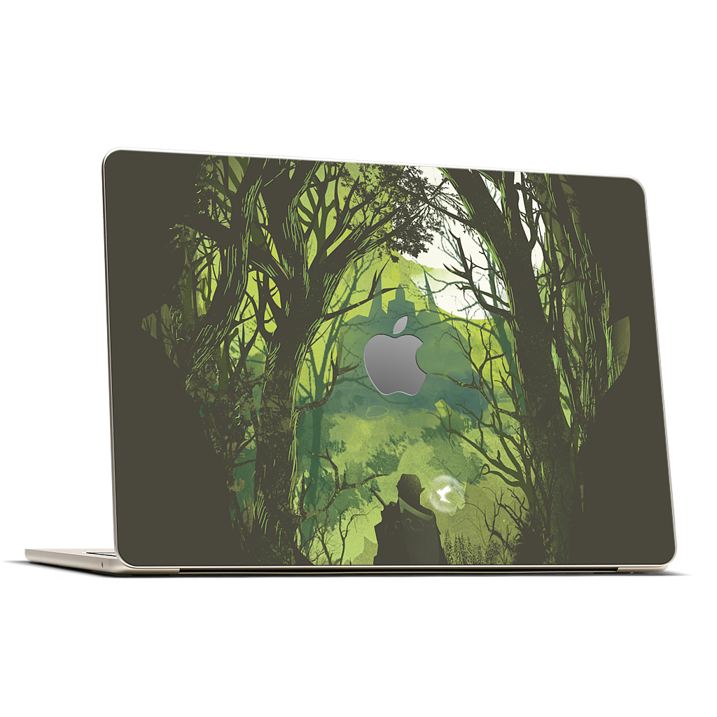 It's Dangerous to go Alone MacBook Skin