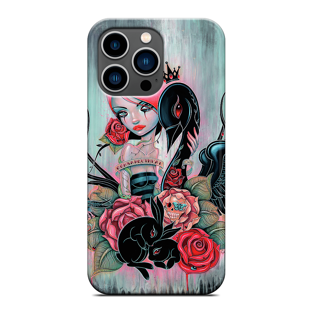 Connected iPhone Case
