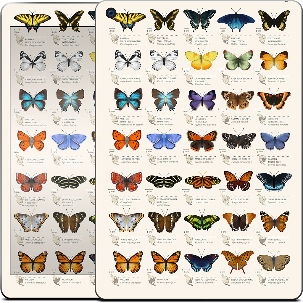 42 North American butterflies iPad Skin