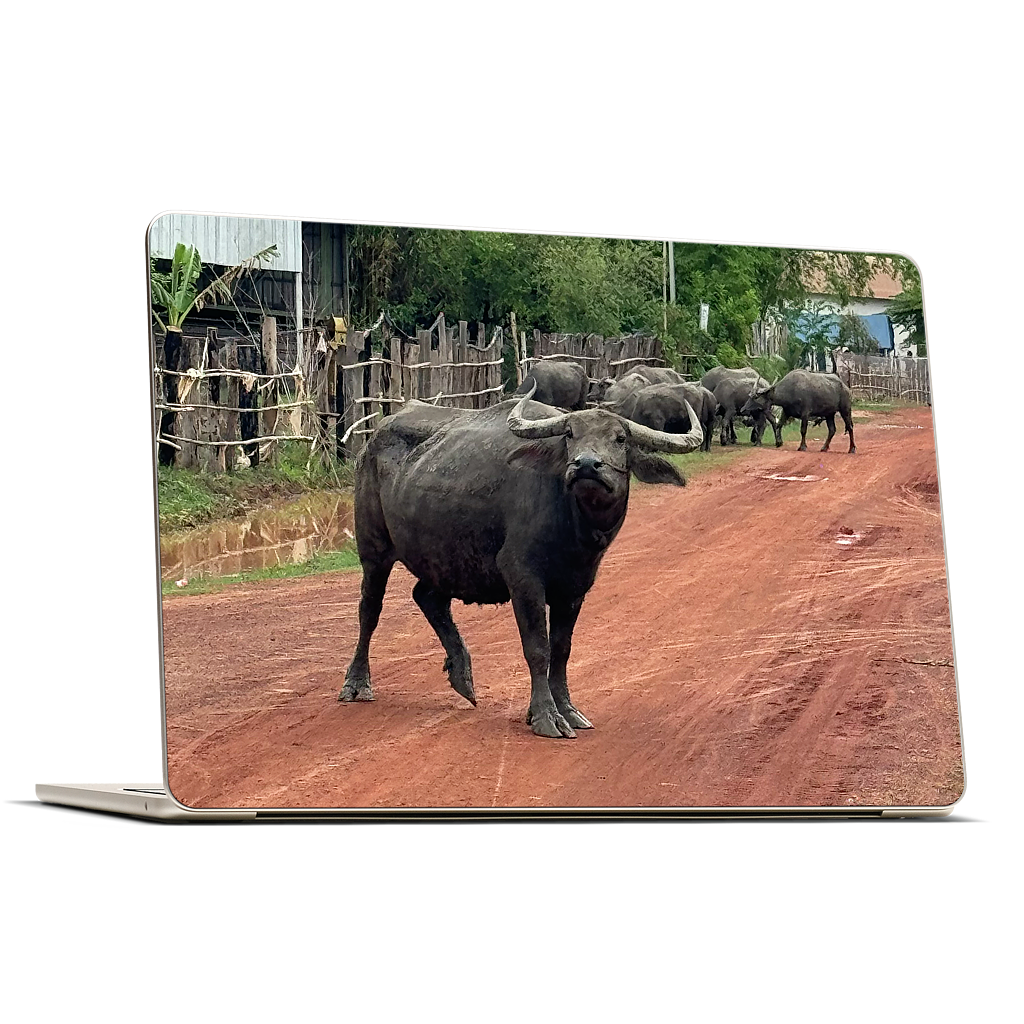 Custom MacBook Skin - 737cbc49