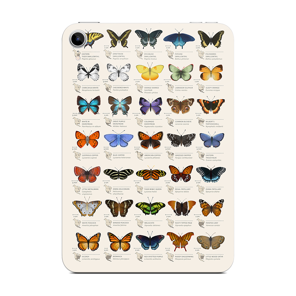 42 North American butterflies iPad Skin