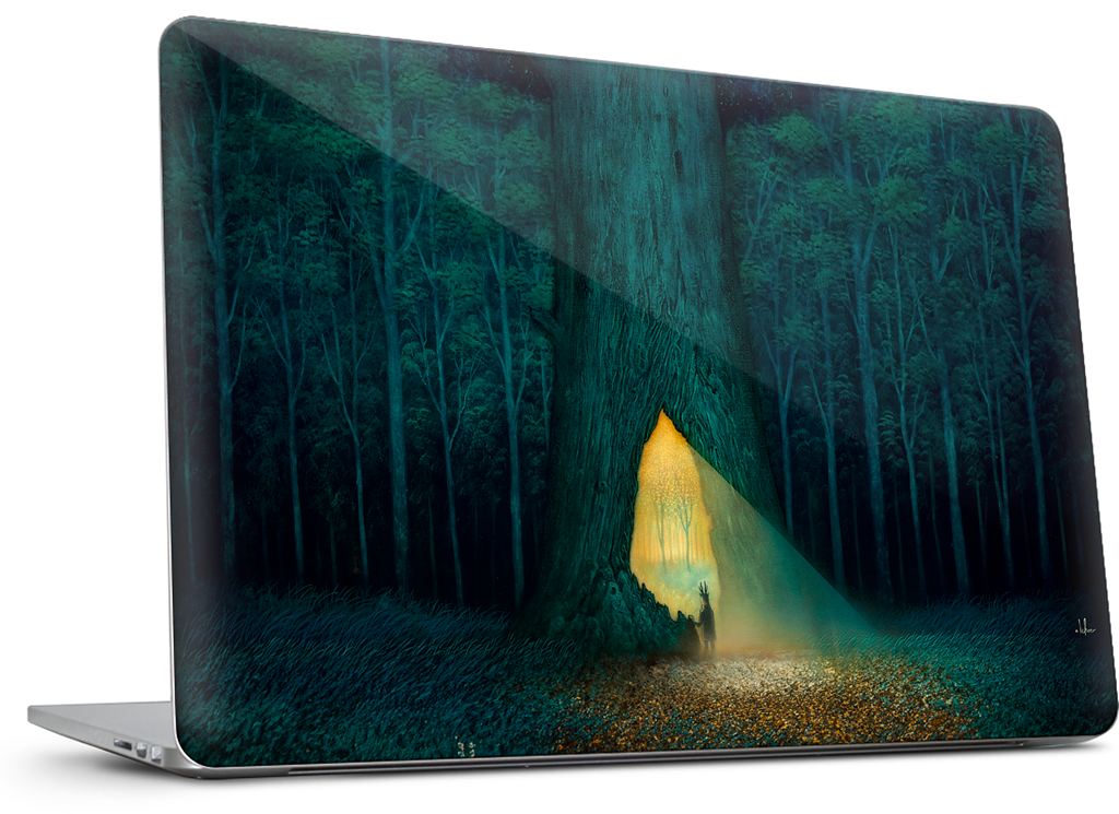 Beyond the Familiar MacBook Skin