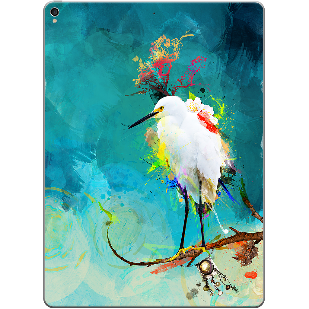 Evening Sun iPad Skin