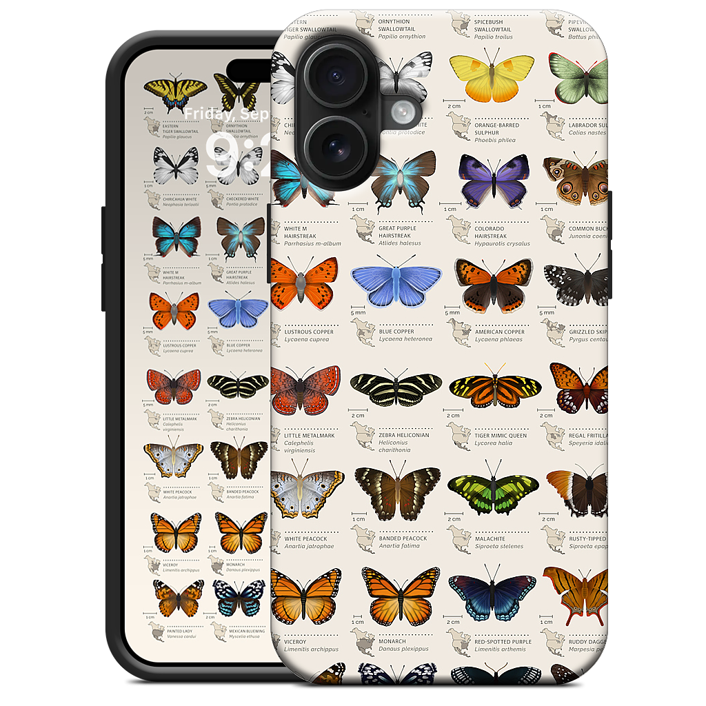 42 North American butterflies iPhone Case