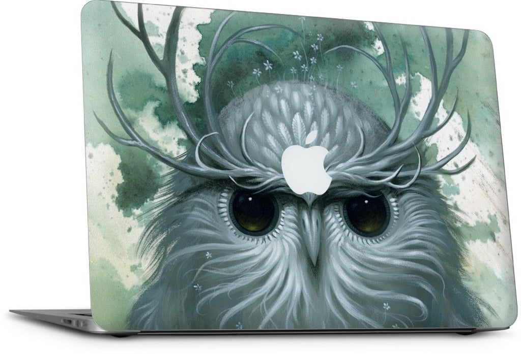 Snow Owl MacBook Skin