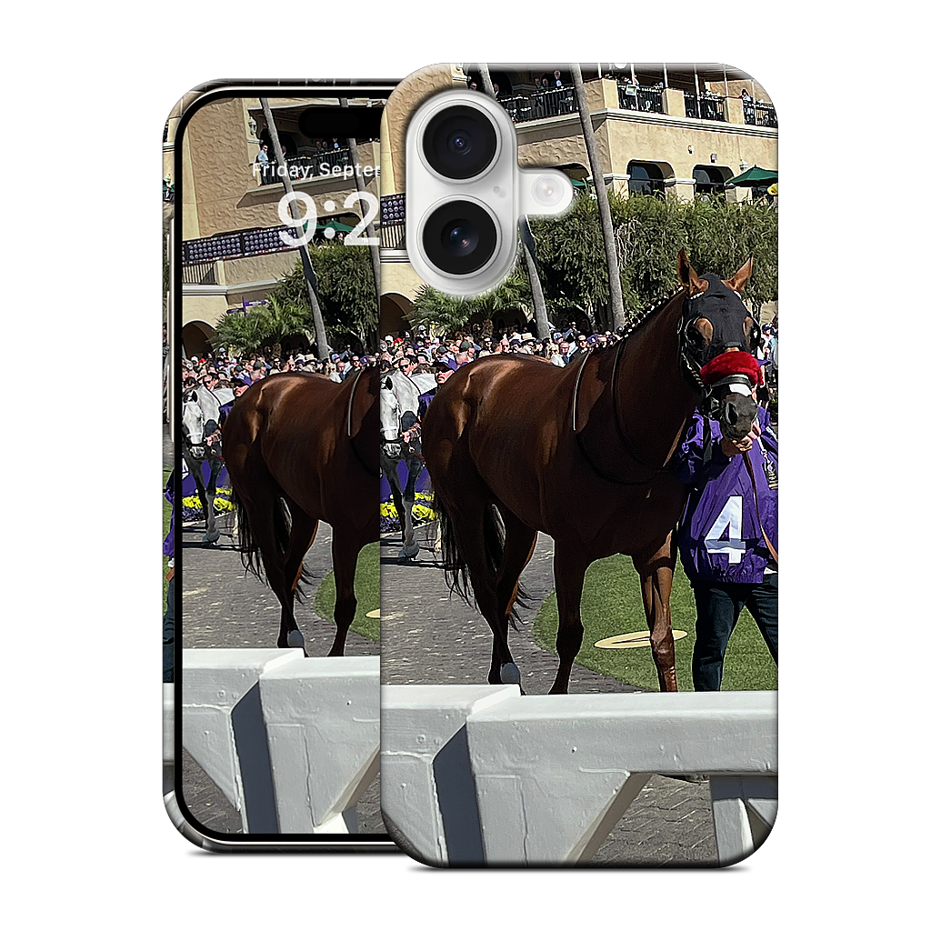 Custom iPhone Case - bb3d11dd