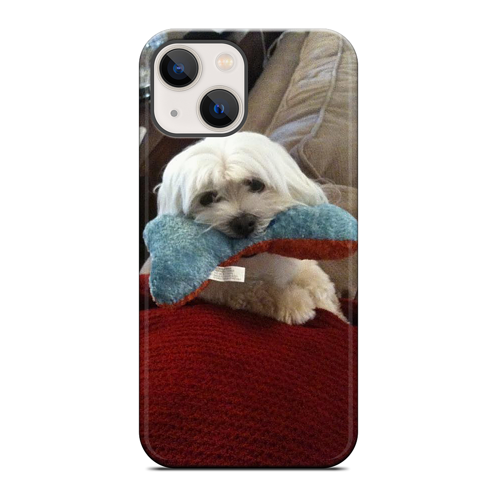 Custom iPhone Case - 9a7496de