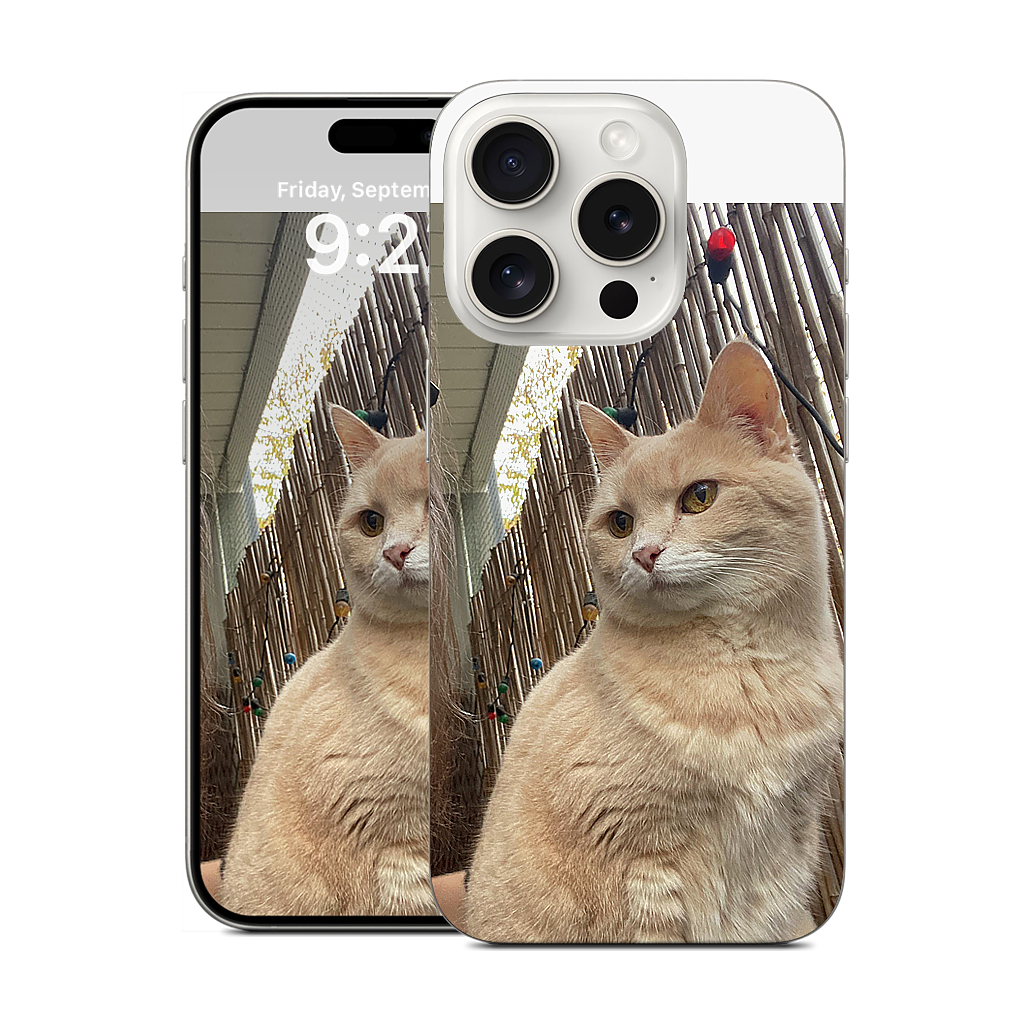 Custom iPhone Skin - e096361f