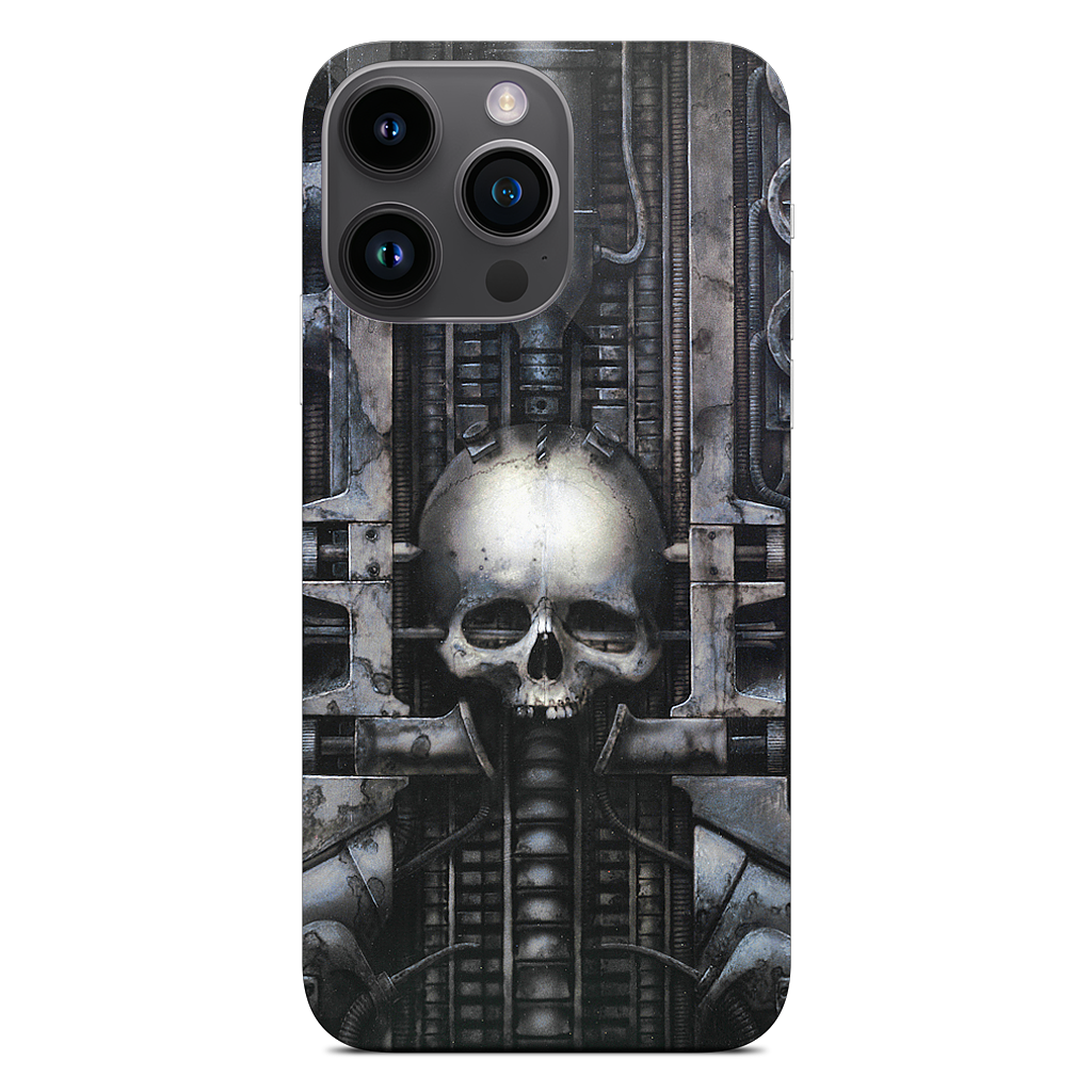 Landscape XIX iPhone Skin