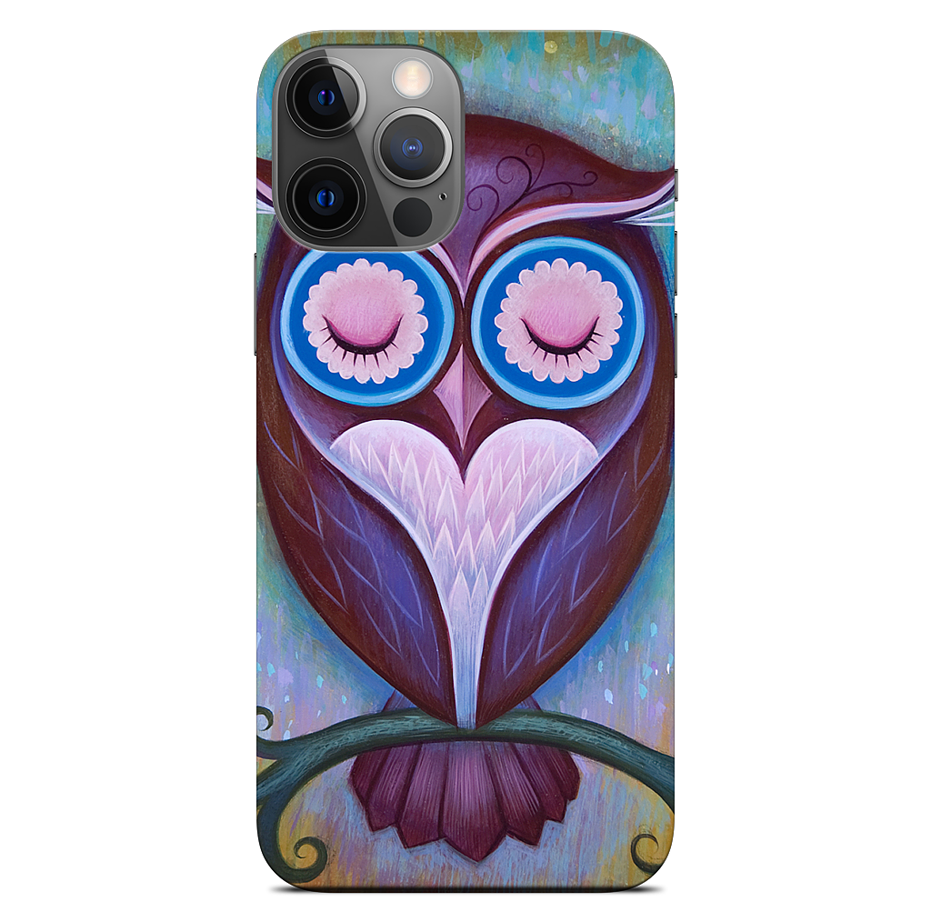 Sleepy Owl iPhone Skin