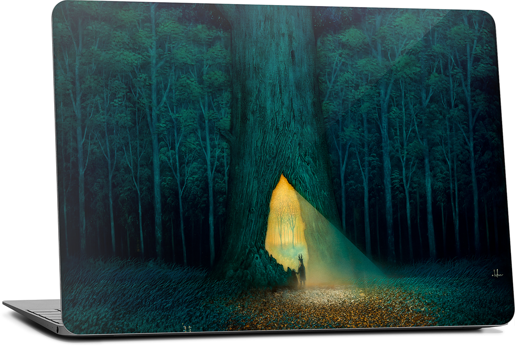 Beyond the Familiar MacBook Skin