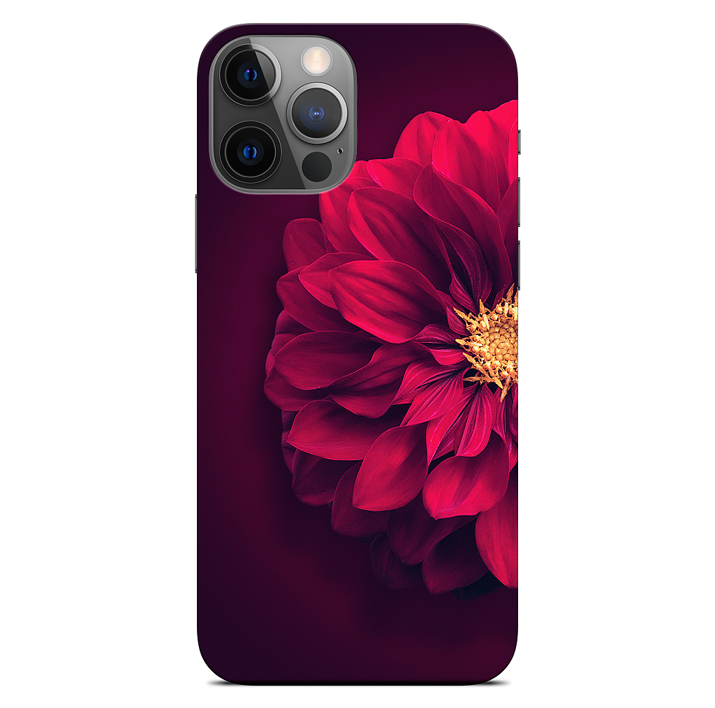 Red Bloom iPhone Skin