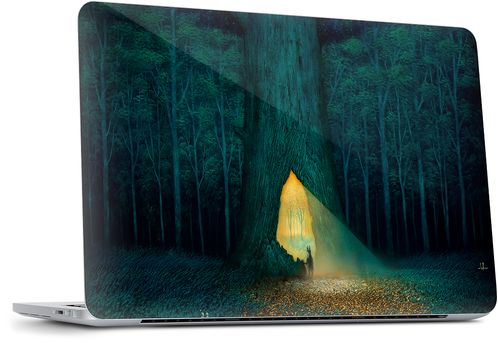 Beyond the Familiar MacBook Skin