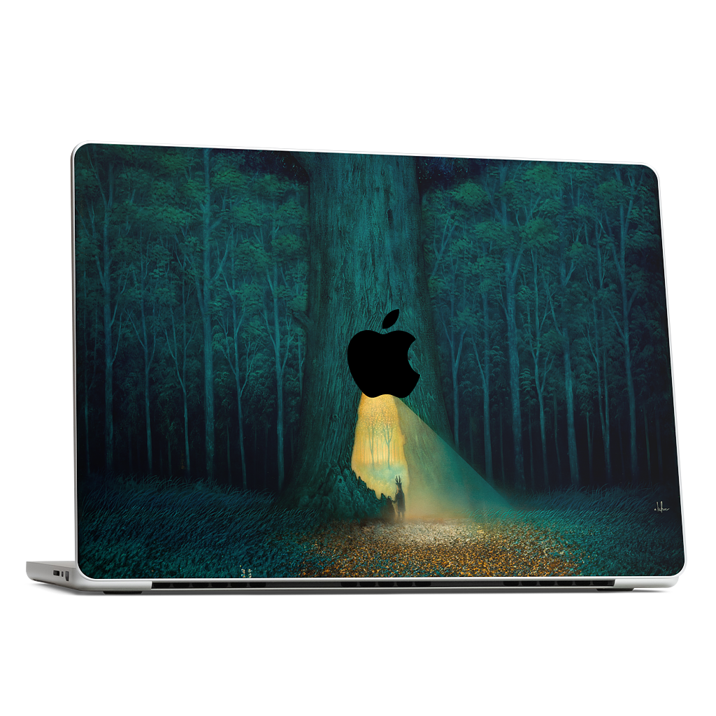 Beyond the Familiar MacBook Skin