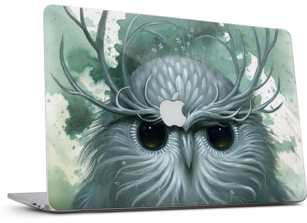 Snow Owl MacBook Skin