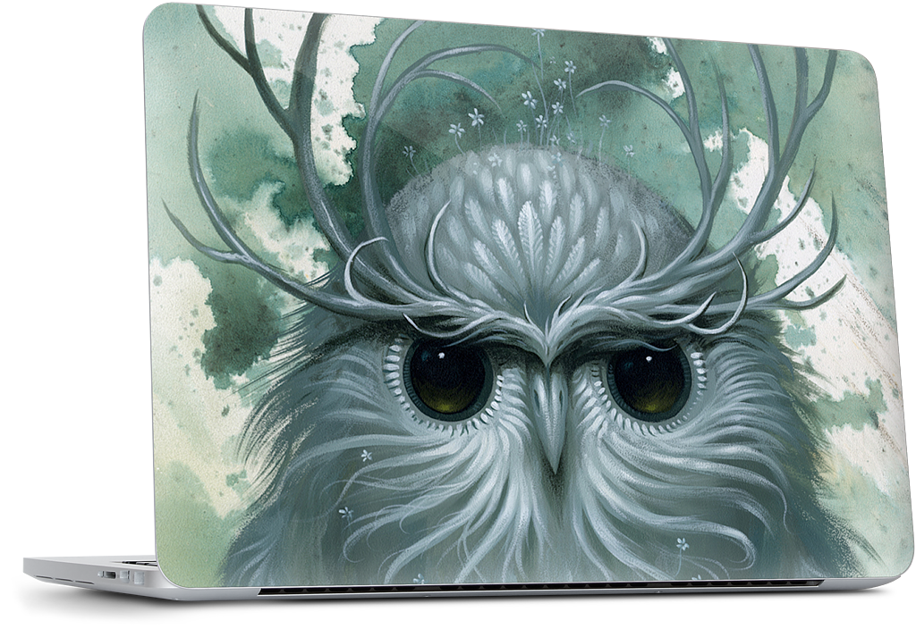 Snow Owl MacBook Skin