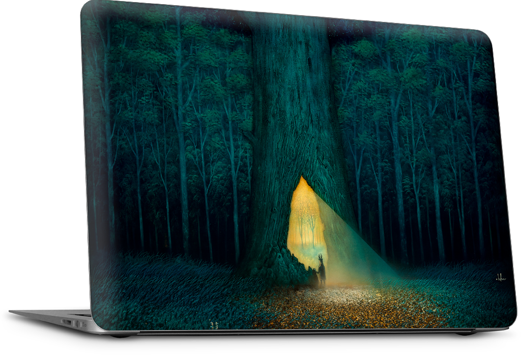 Beyond the Familiar MacBook Skin