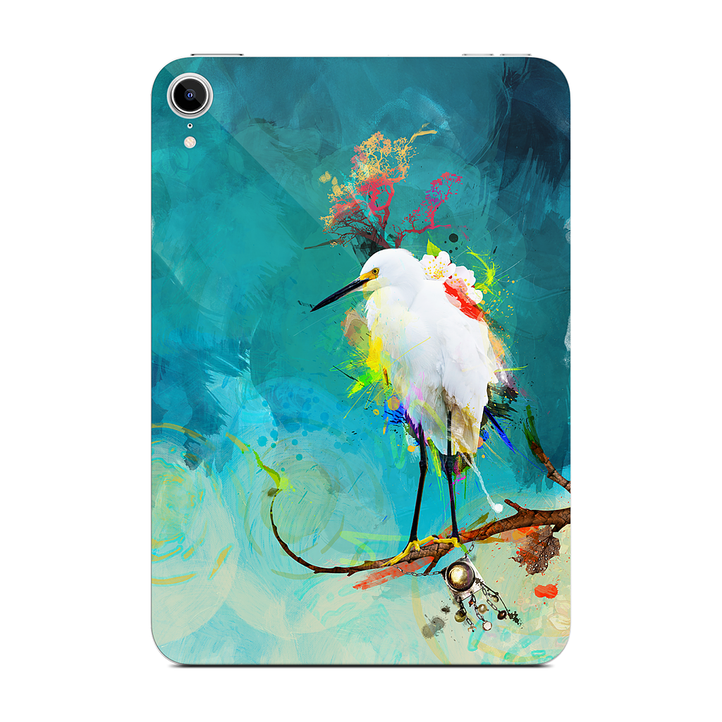 Evening Sun iPad Skin