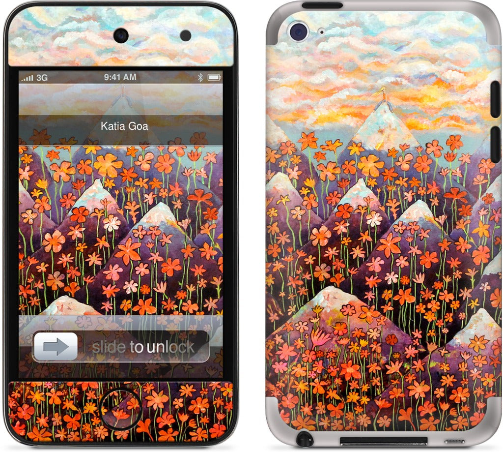 Nice iPod Skin