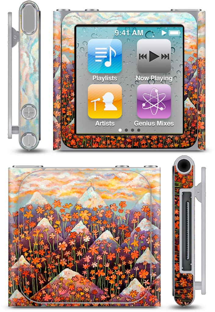 Nice iPod Skin