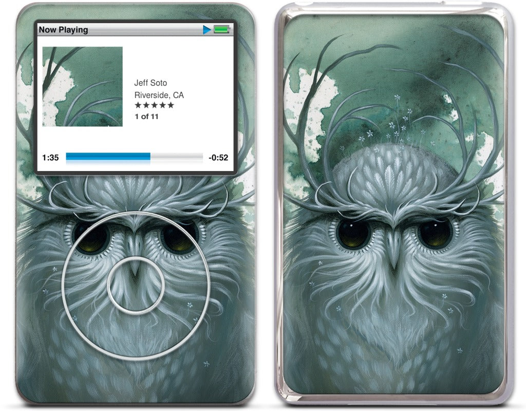 Snow Owl iPod Skin