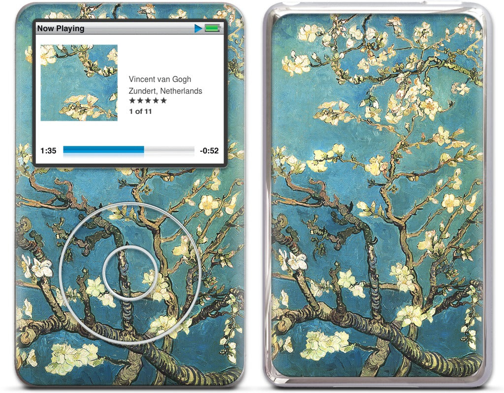 Almond Branches in Bloom iPod Skin