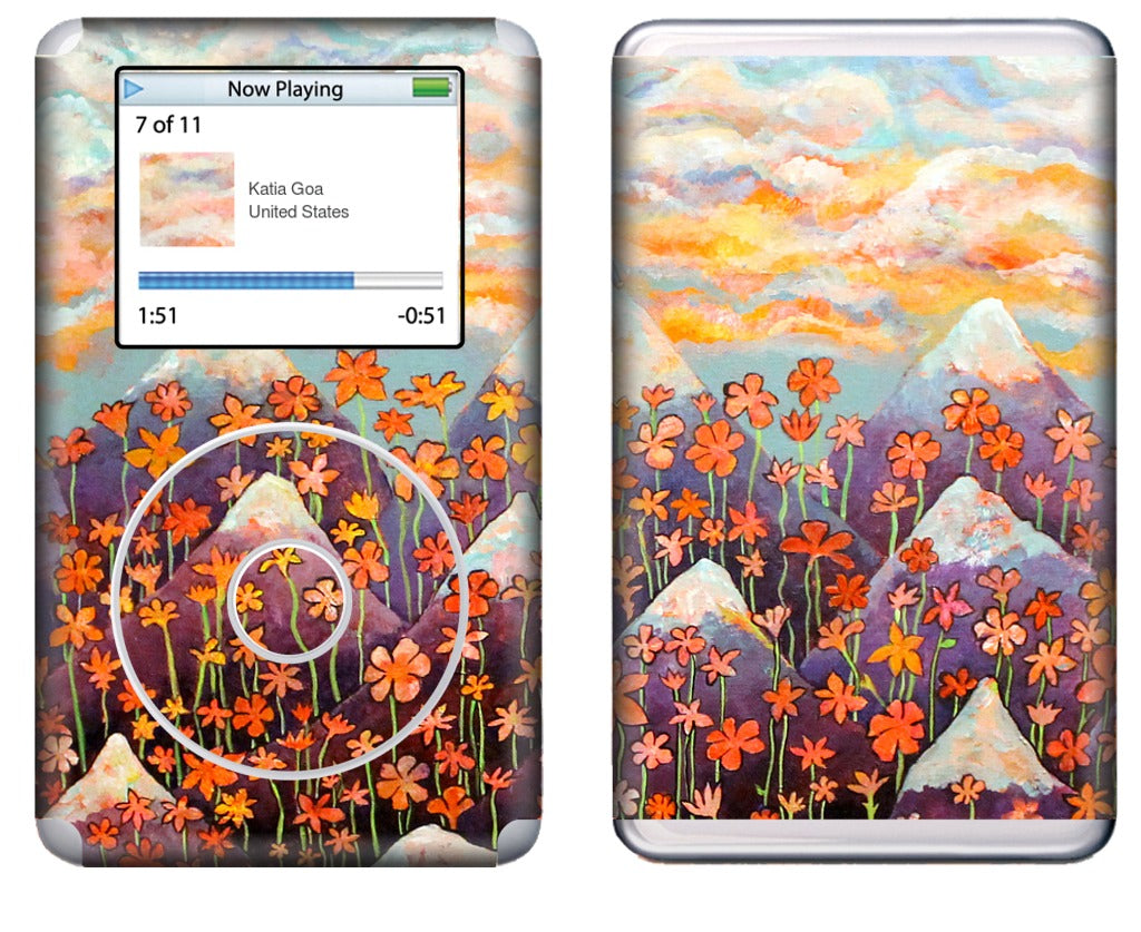 Nice iPod Skin