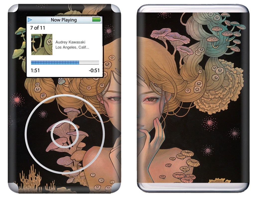 Offering iPod Skin