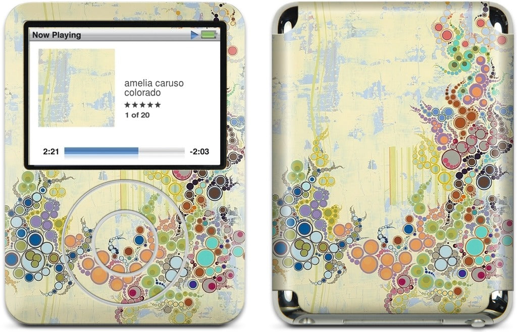 Details of My Life iPod Skin