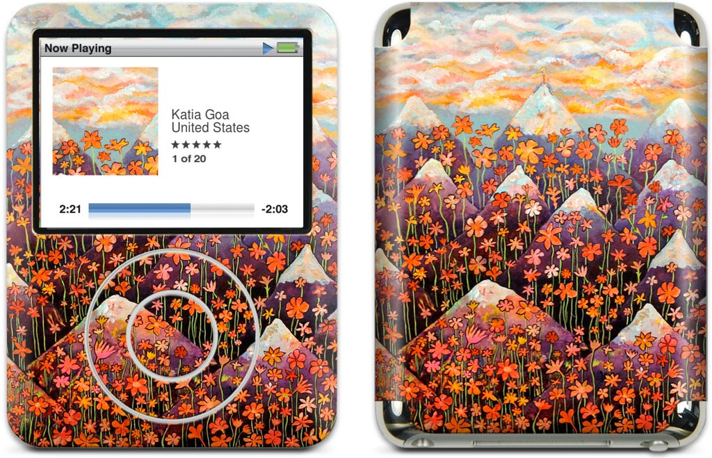 Nice iPod Skin