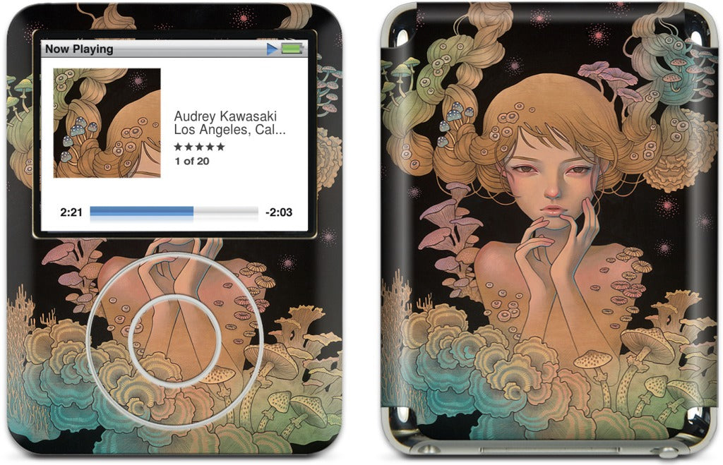 Offering iPod Skin