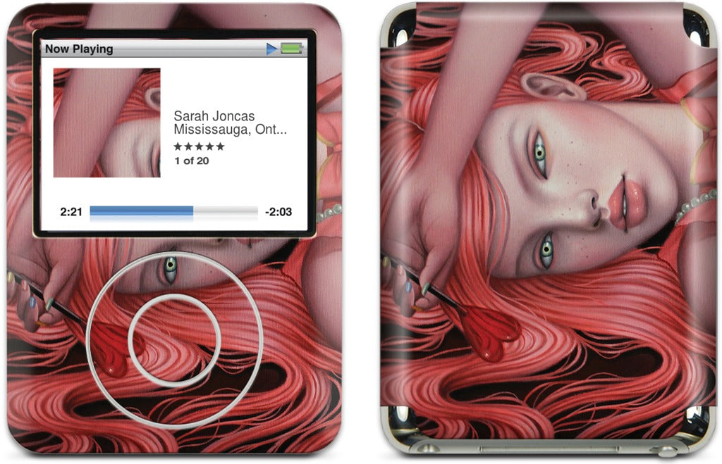 Sugar, Spice and Everything Nice iPod Skin