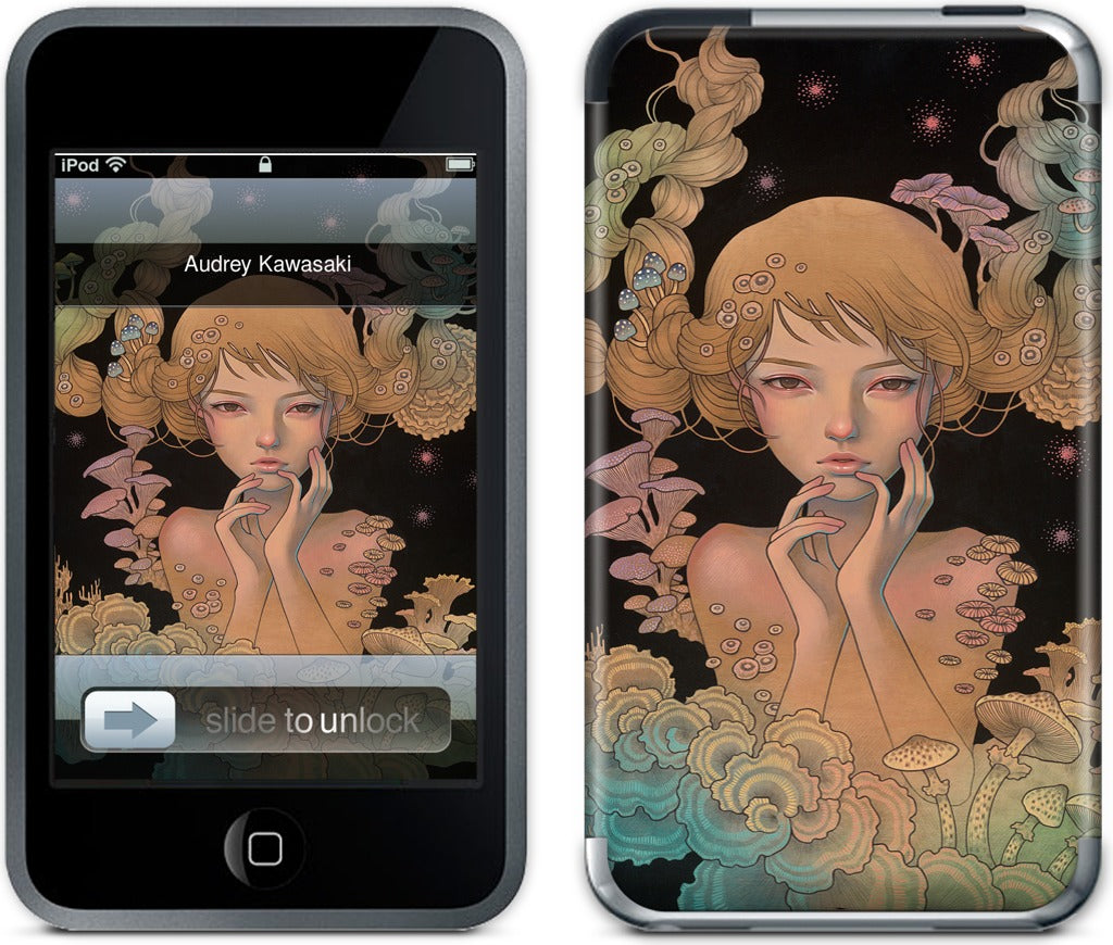 Offering iPod Skin