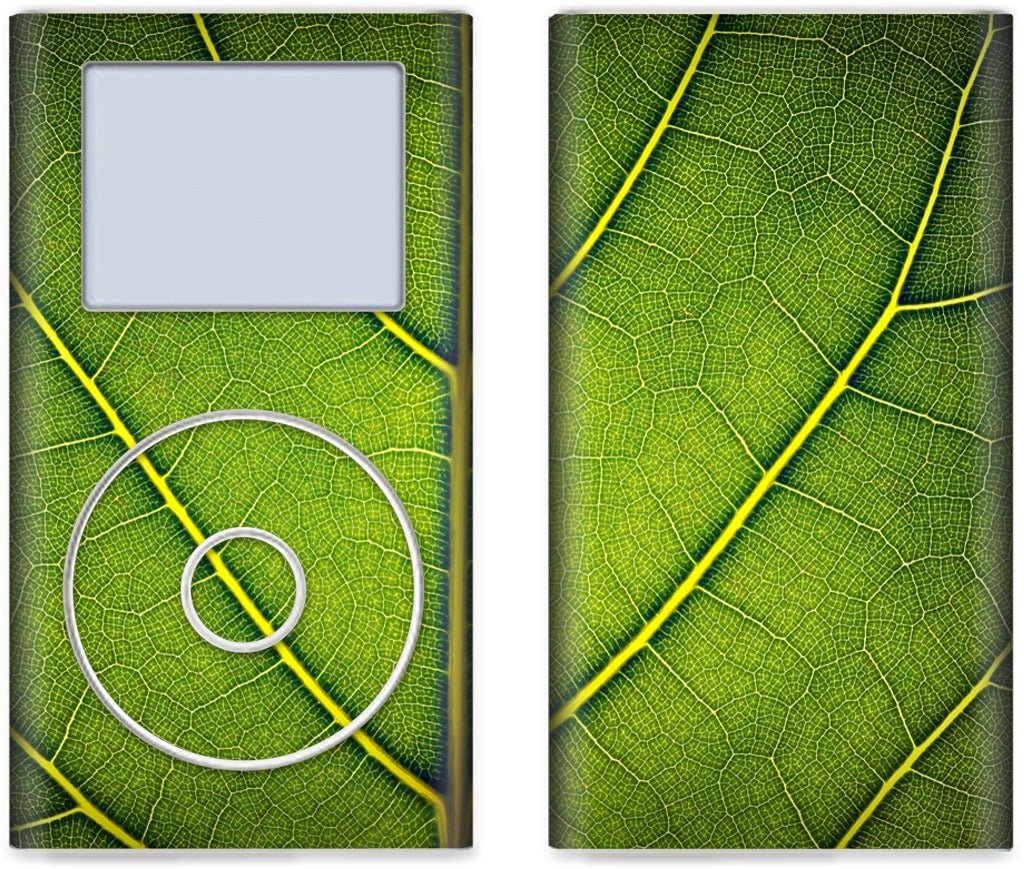 Loose Leaf iPod Skin