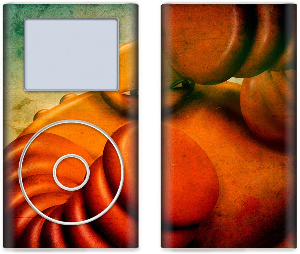 Sun iPod Skin