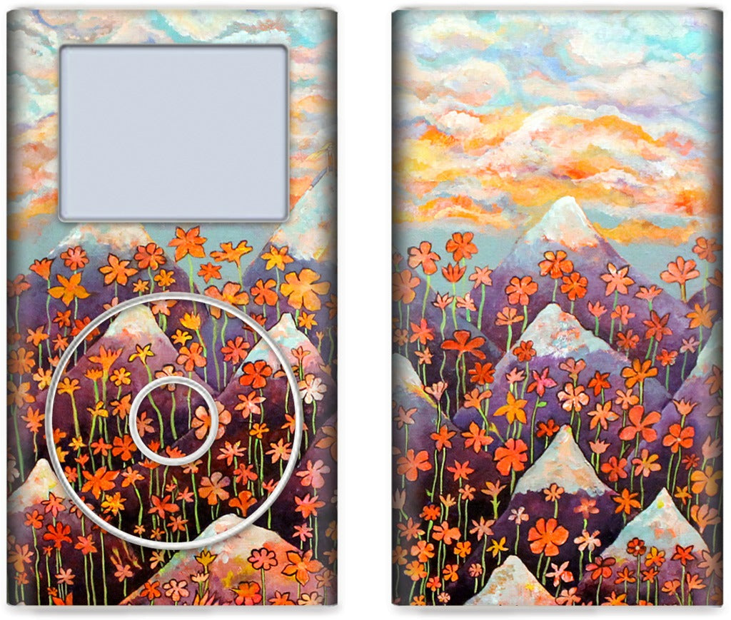 Nice iPod Skin