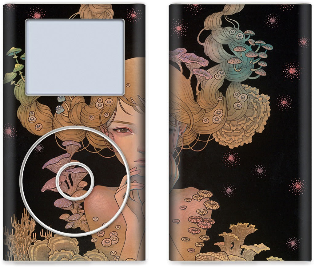 Offering iPod Skin