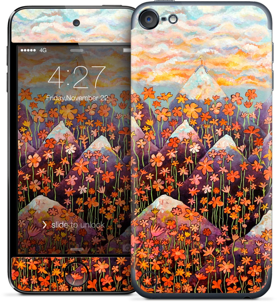 Nice iPod Skin