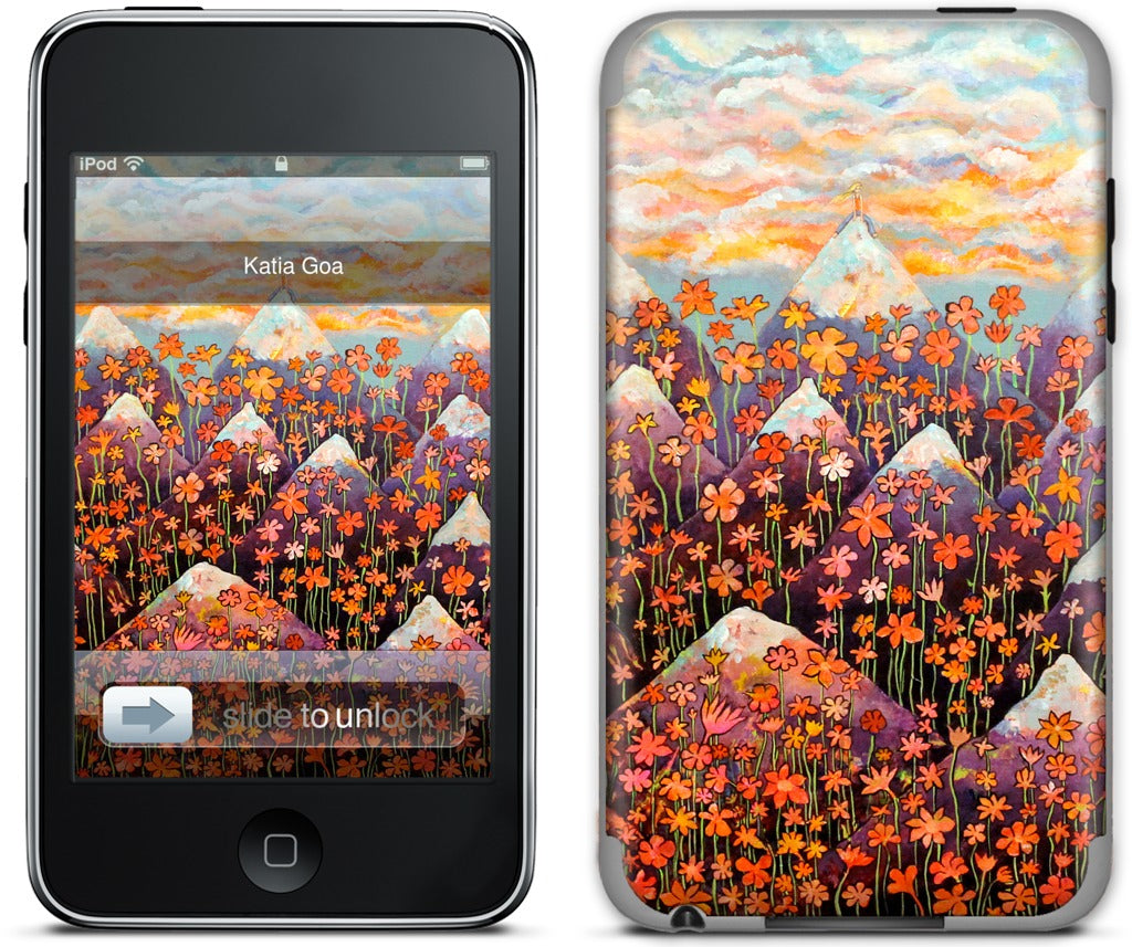 Nice iPod Skin