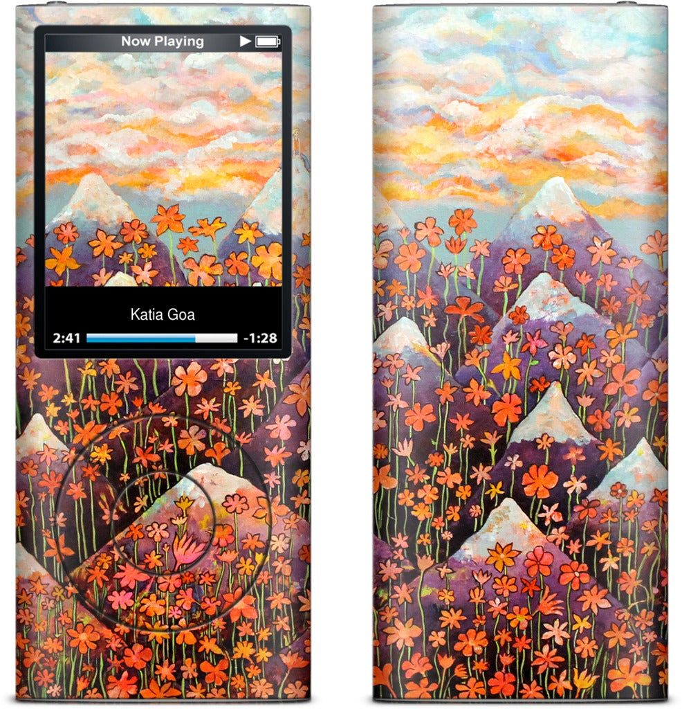 Nice iPod Skin
