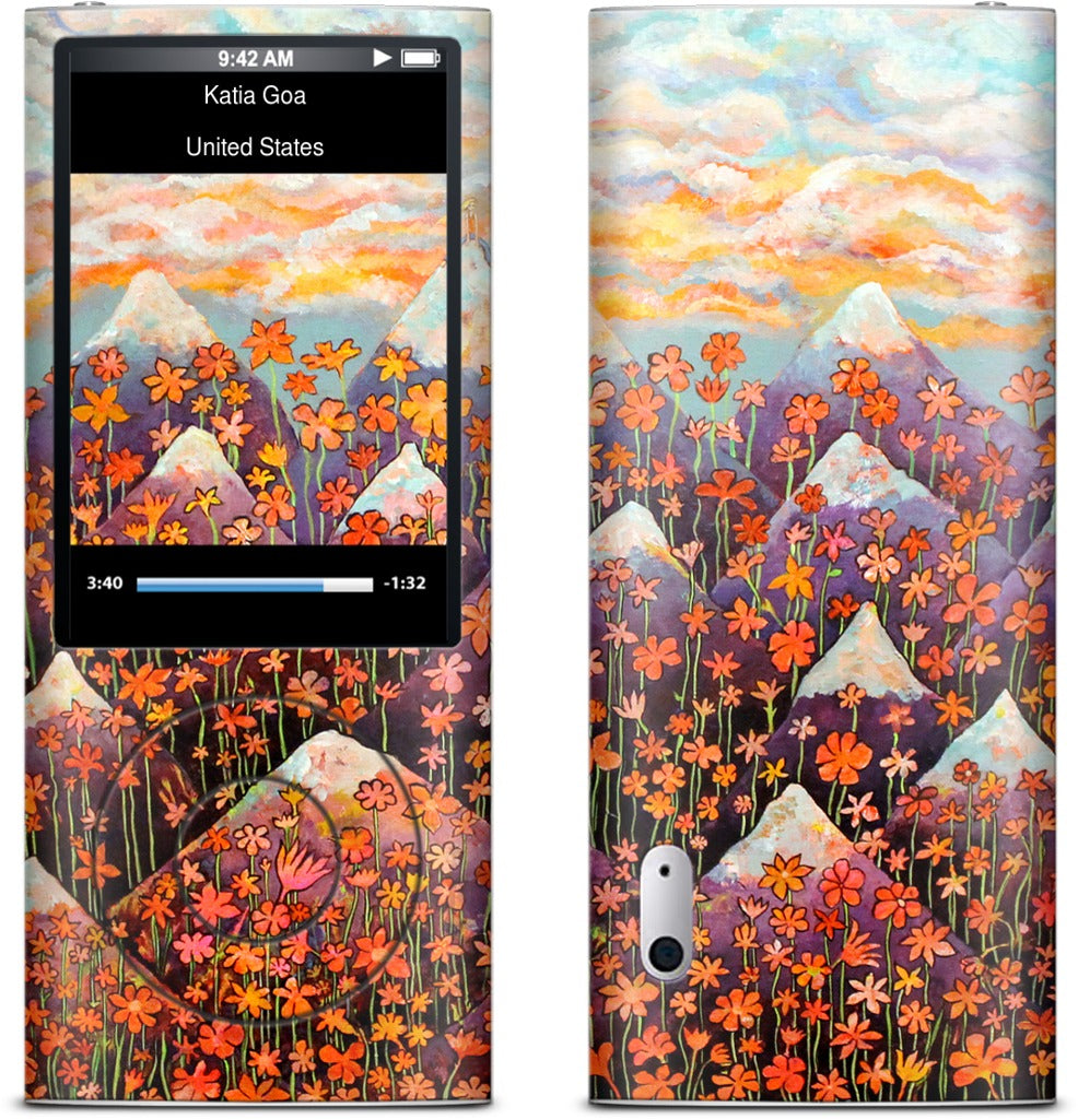Nice iPod Skin