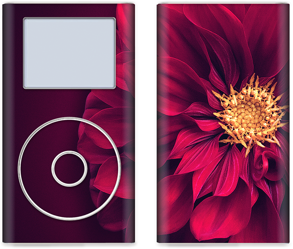 Red Bloom iPod Skin