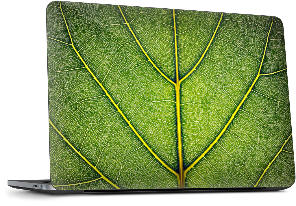 Loose Leaf Microsoft Skin