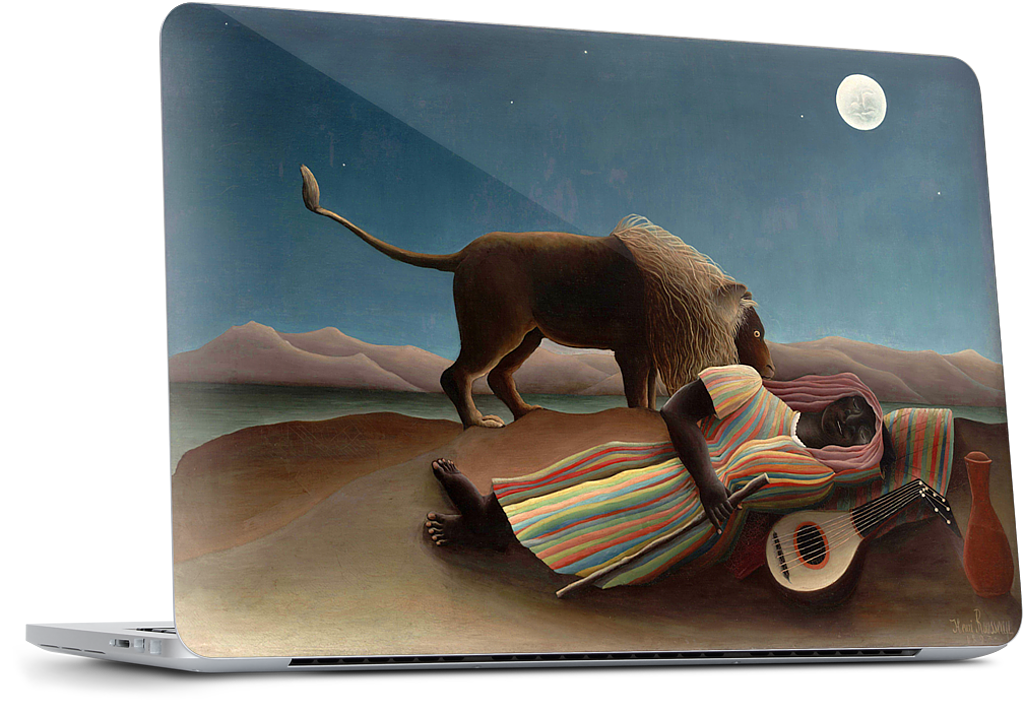 Sleeping Gypsy Dell Laptop Skin