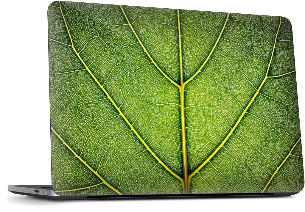 Loose Leaf Microsoft Skin