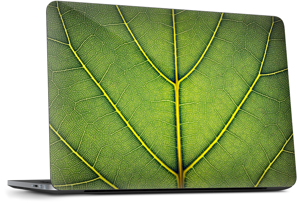 Loose Leaf Microsoft Skin