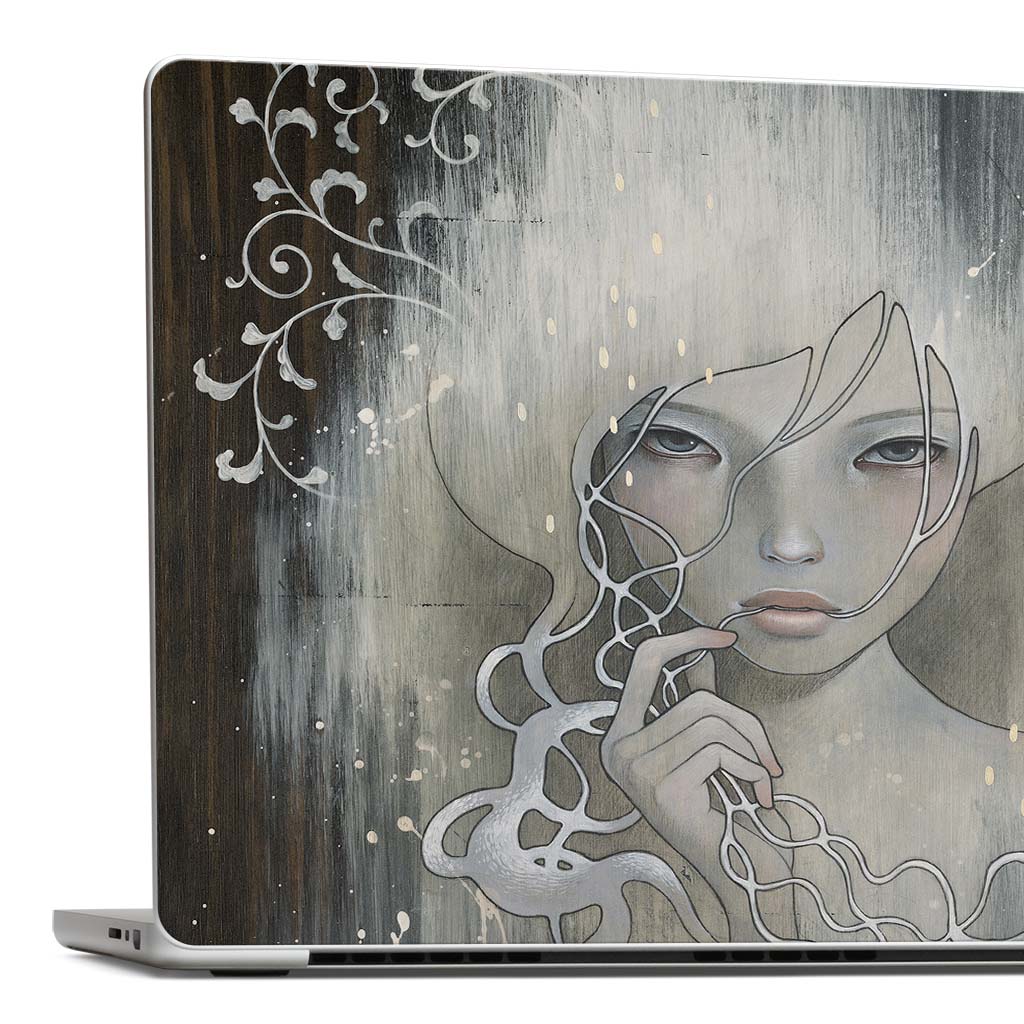 MacBook Skins