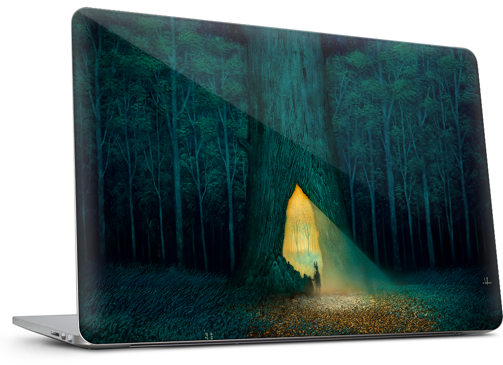 Beyond the Familiar MacBook Skin